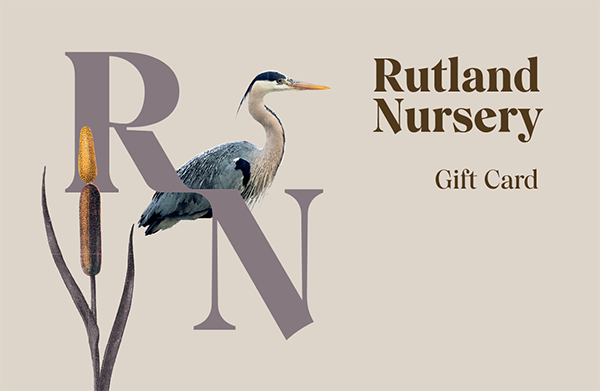 Digital gift card